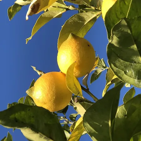 Lovers' Nest - Unita 1 * Baiardo