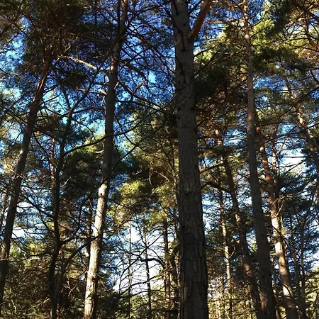 Lovers' Nest - Unità 1 Casa vacanze